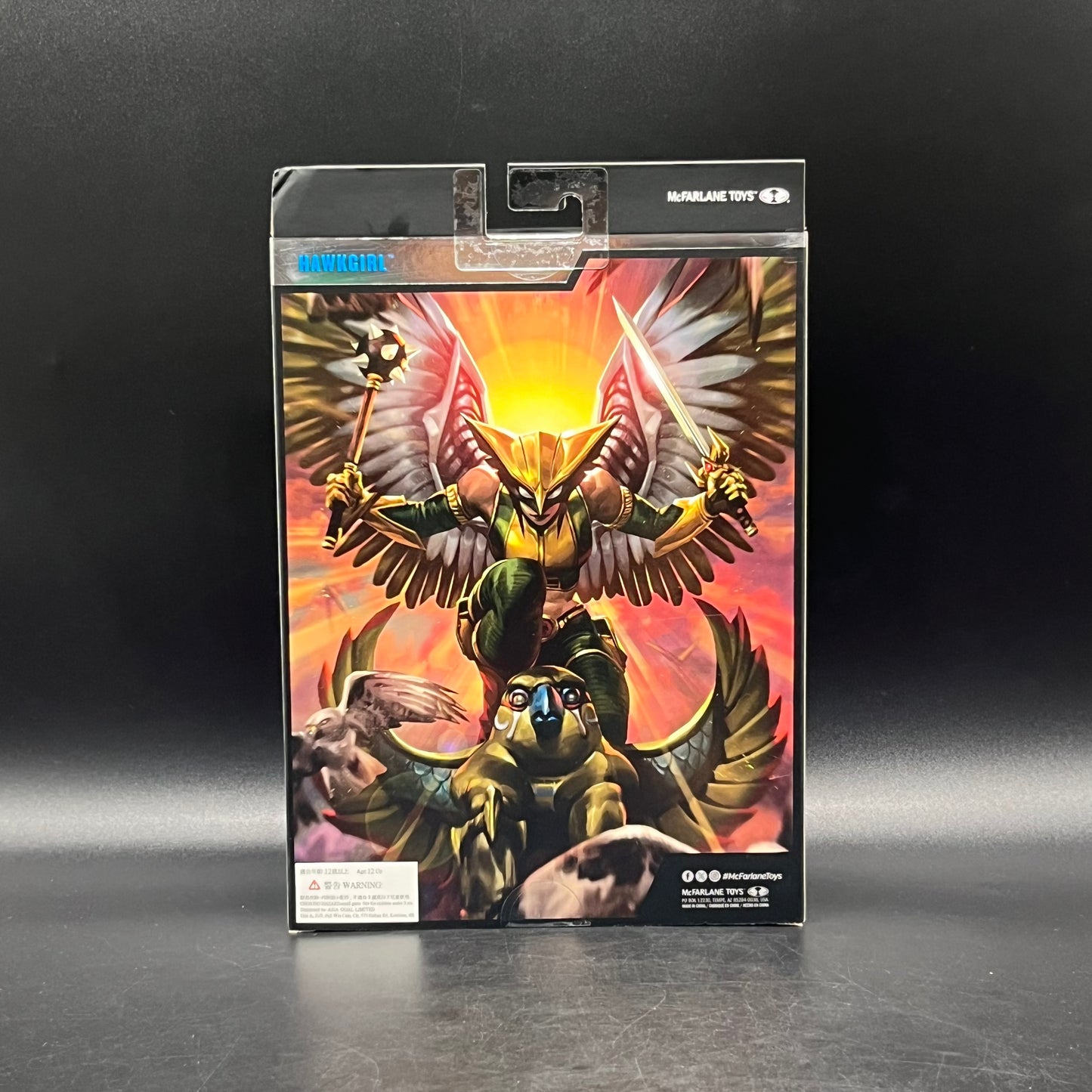 (IN STOCK) DC Mcfarlane Collector's Edition Hawkgirl (Kendra Saunders) Action Figure